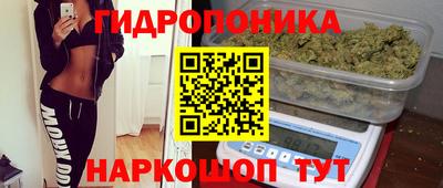 шишки Апшеронск