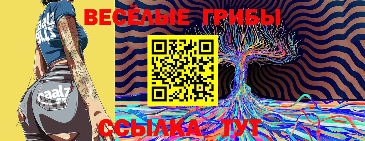Псилоцибиновые грибы Psilocybe Аша